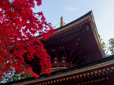 Japanese OMAMORI AMULET CHARM for "Longevity" from Koyasan Shrine Japan - Omamori Charm Heritage Japan