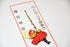 Japanese OMAMORI AMULET key chain Amulet red for "Healthy" YATAGARASU Crow from Kashihara Jingu Shrine Nara Japan The 1st Emperor - Omamori Charm Heritage Japan